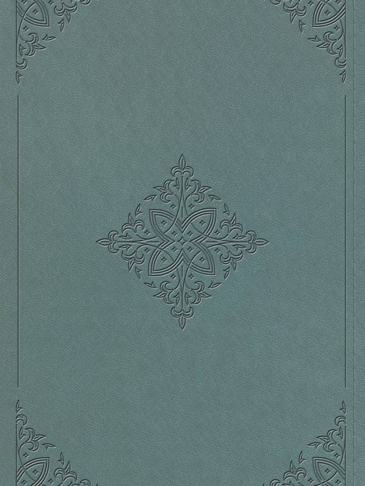 ESV Student Study Bible (TT, Paris Sky) for wholesale by Crossway