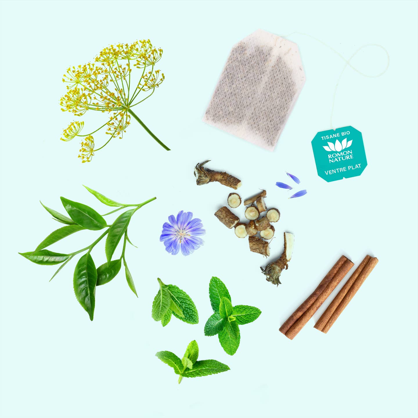 PROVENCE D'ANTAN - Vente Thés santé/détox - Tisane Ventre Plat BIO* Format ECO 50 Sachets2