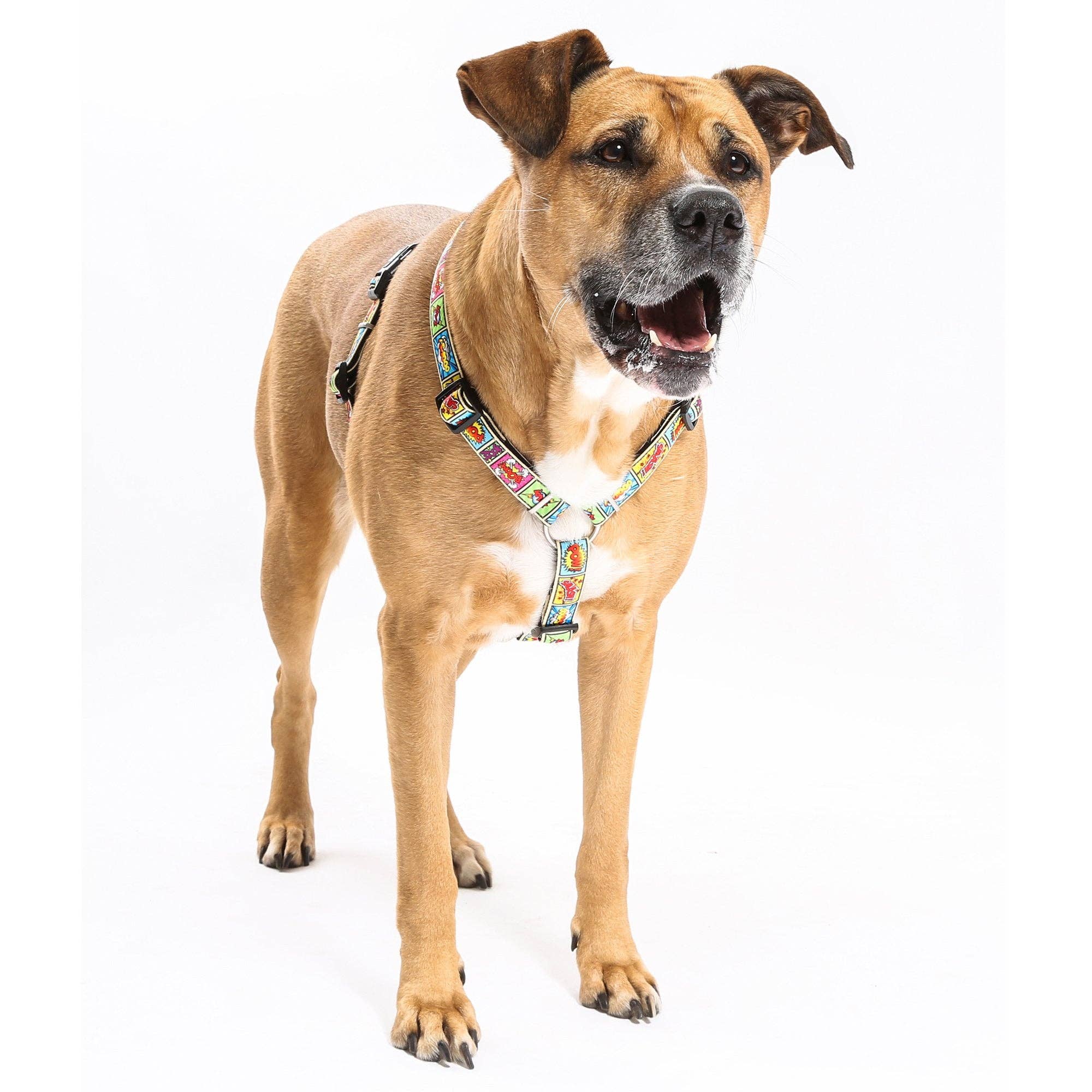 Max & Molly - Wholesale Pet Harness - Dog - Dog H-Harness - Comic3