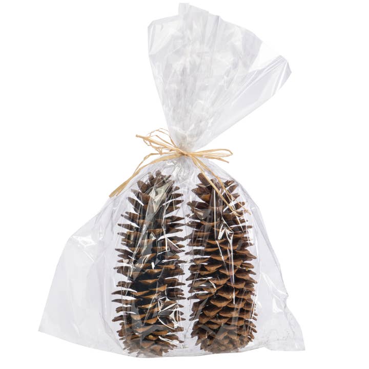 2PC SUGAR CONE NATURAL COLOR - BAGGED DRIED for wholesale by Willow Group