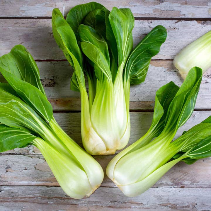 The Rike - Wholesale Plant Seeds - Green Bok Choy Seeds pok choy 2 pack x1500 Seeds