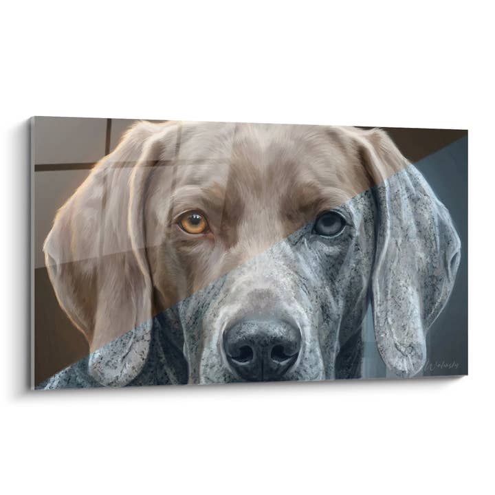 Tableau Portrait Canin Bicolore aux Yeux Vairons - Regard Perçant - Edition Braque de Weimar pour la vente par Walensky