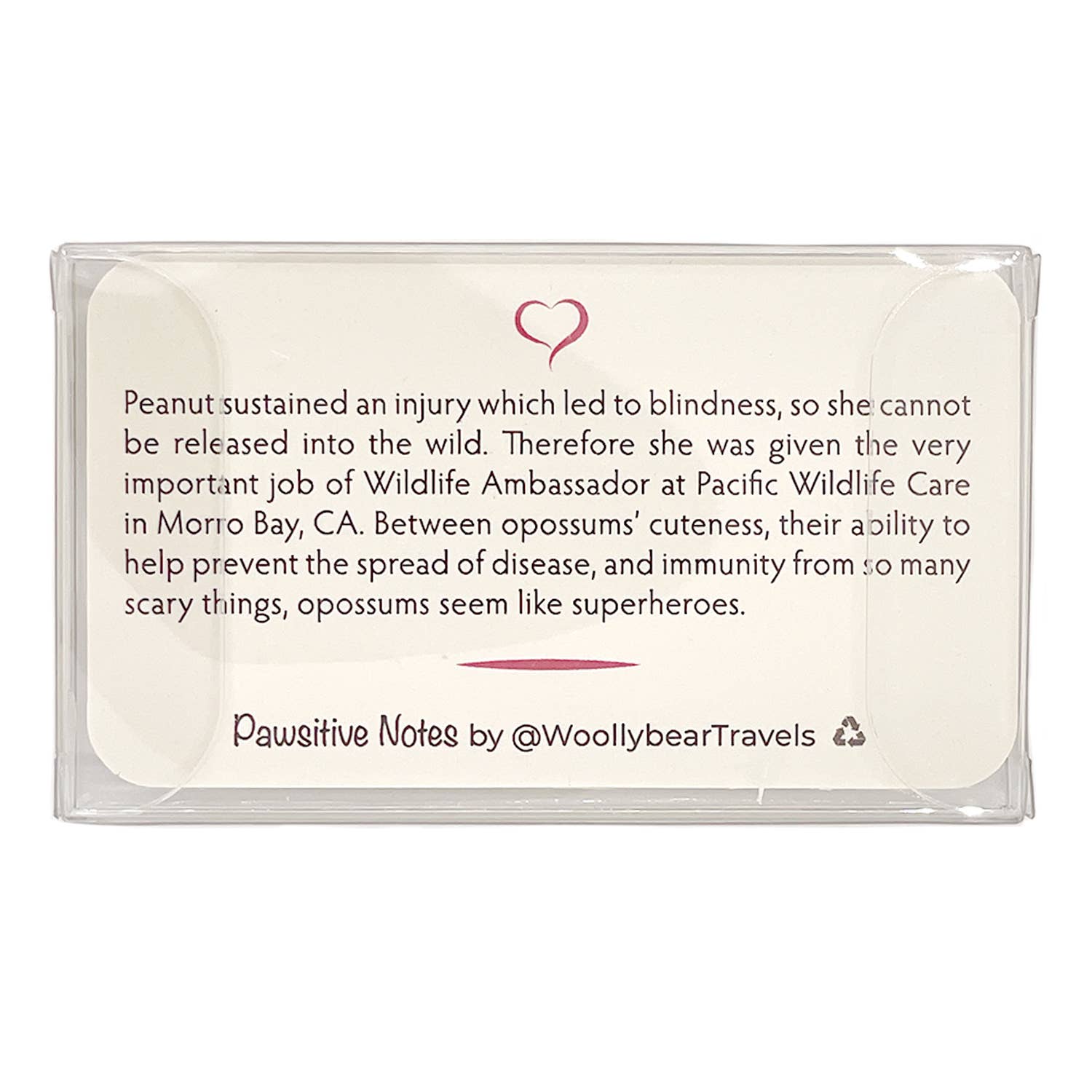 Woollybear Travels - Wholesale Stationery/Notecard Set - Pawsitive Notes- Rescued Opossum (Lunch Box Notes)6