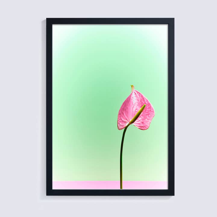 Impression photo giclée rose et menthe d'une tige de lis de la paix pour la vente par Ornament Art