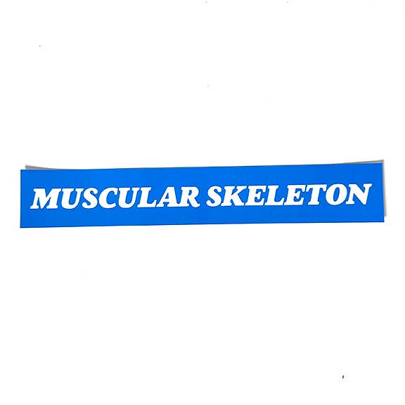 Things By Dave - Wholesale Sticker - MUSCULAR SKELETON Bumper Sticker