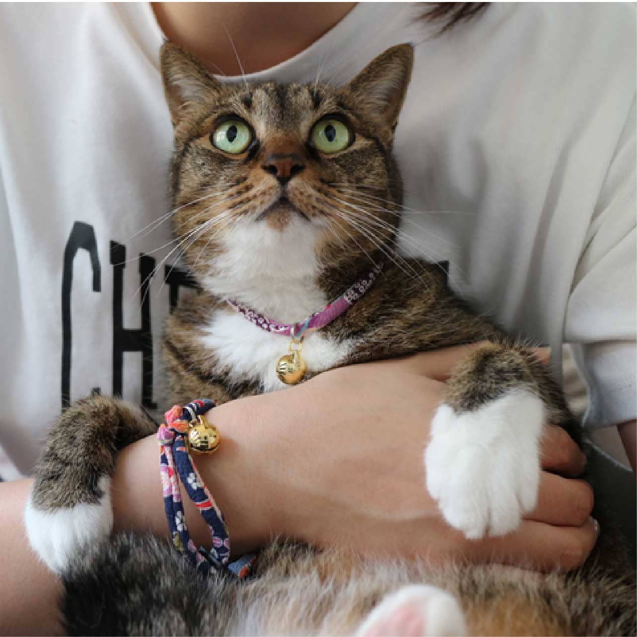 MOON-X USA, INC. - Wholesale Pet Collar - Cat - Chirimen Hanabi Fireworks Cat Collar (Purple)3