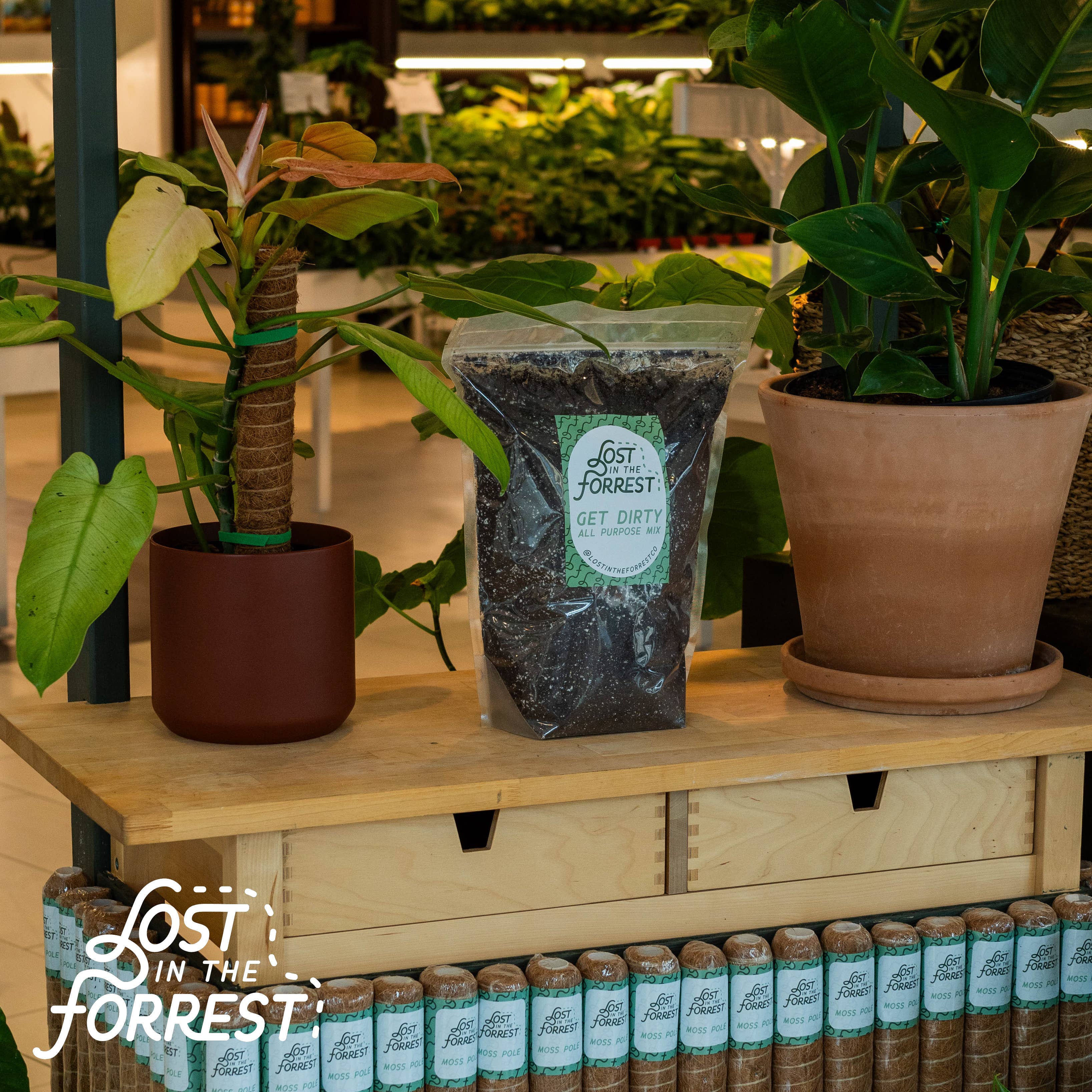 Lost in the Forrest - Wholesale Planting/Potting Soil - Get Dirty - All Purpose Potting Mix2