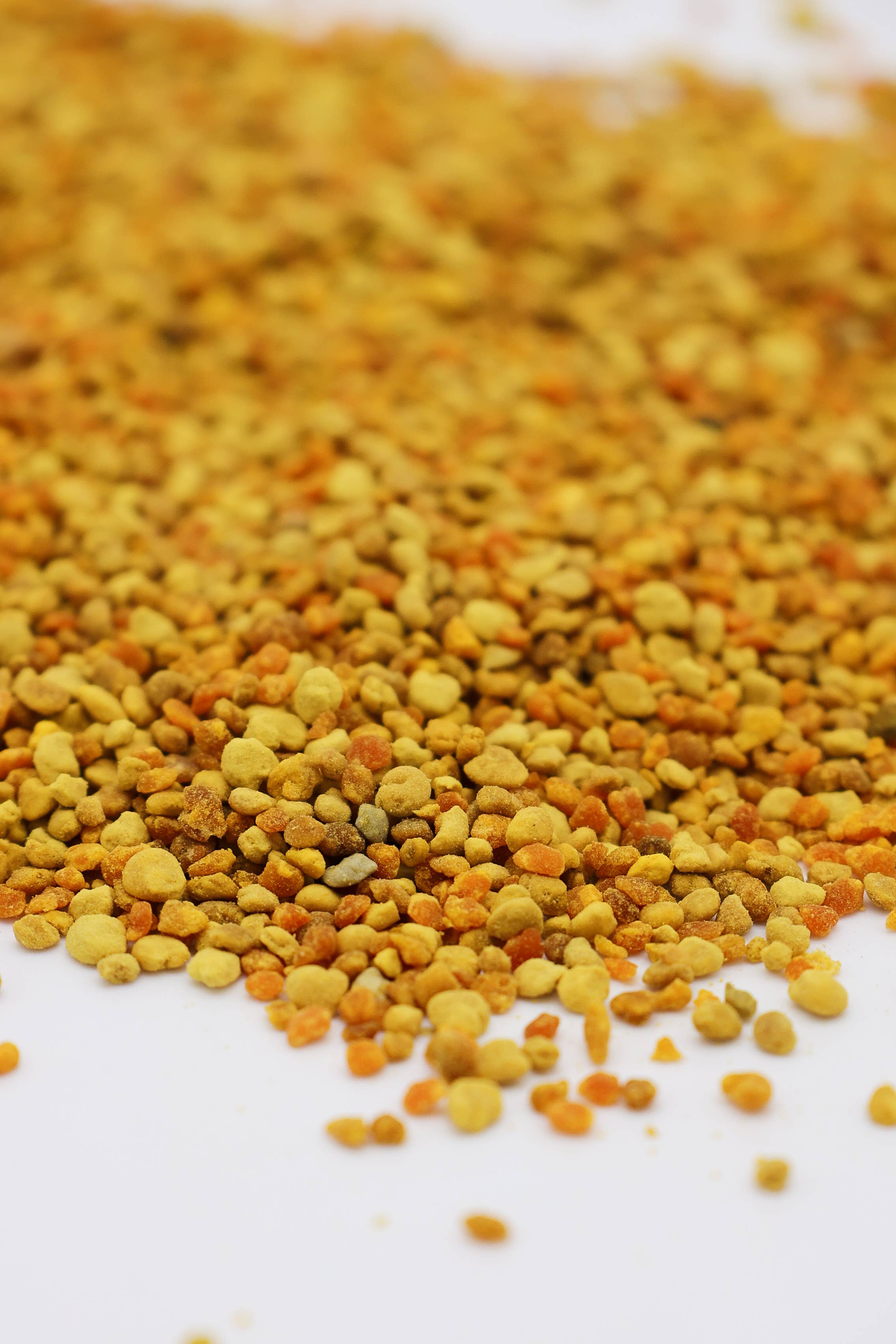 Bell Honey Company - Wholesale Honey - 1lb 100 Percent Pure Fresh Honeybee Pollen in Bulk2