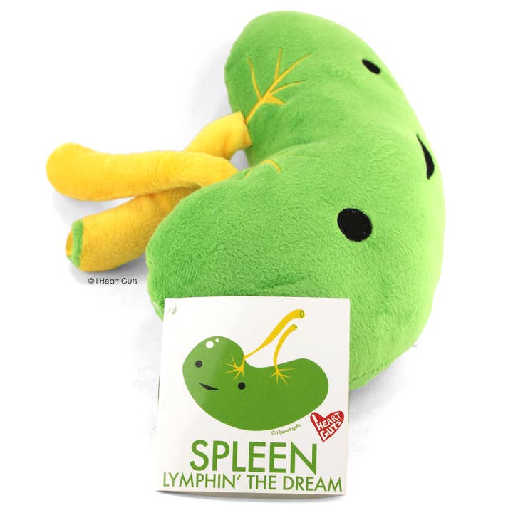 I Heart Guts | Organ Plushies Wholesale - Vente Peluche – enfant et bébé - Peluche de la rate - Lymphin' le rêve6