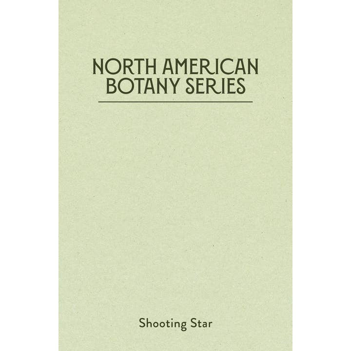 Adventure Booty - Wholesale Lapel Pin/Button - Shooting Star Pin1