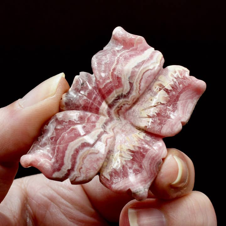 Genuine Rhodochrosite Carved Crystal Crystal Flower for wholesale by Caspar Curiosities