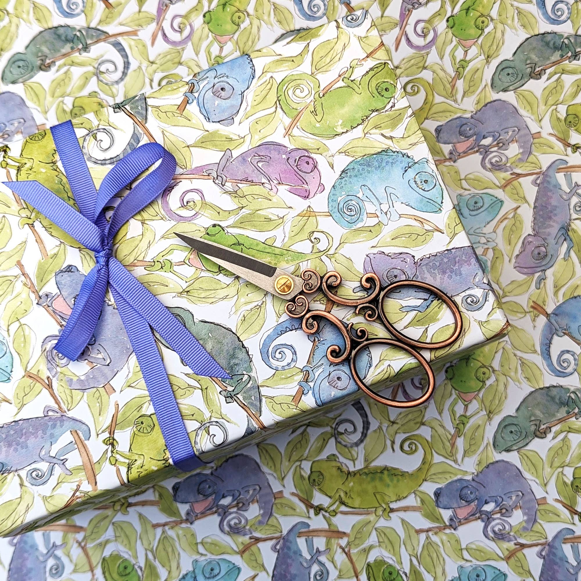 Hes Designs – wholesale Flat wrap – Chameleon gift wrap, Quirky wrapping paper, Cute Chameleons0