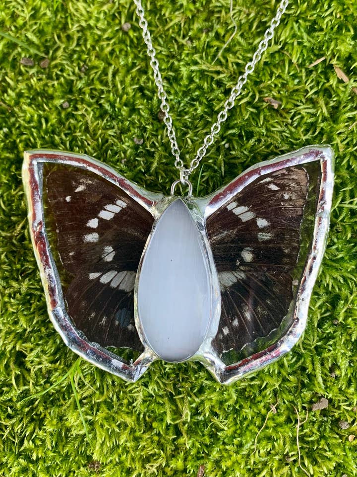 Black Wing Butterfly Taxidermy Necklace with Crystal for wholesale by Outsider Artshop