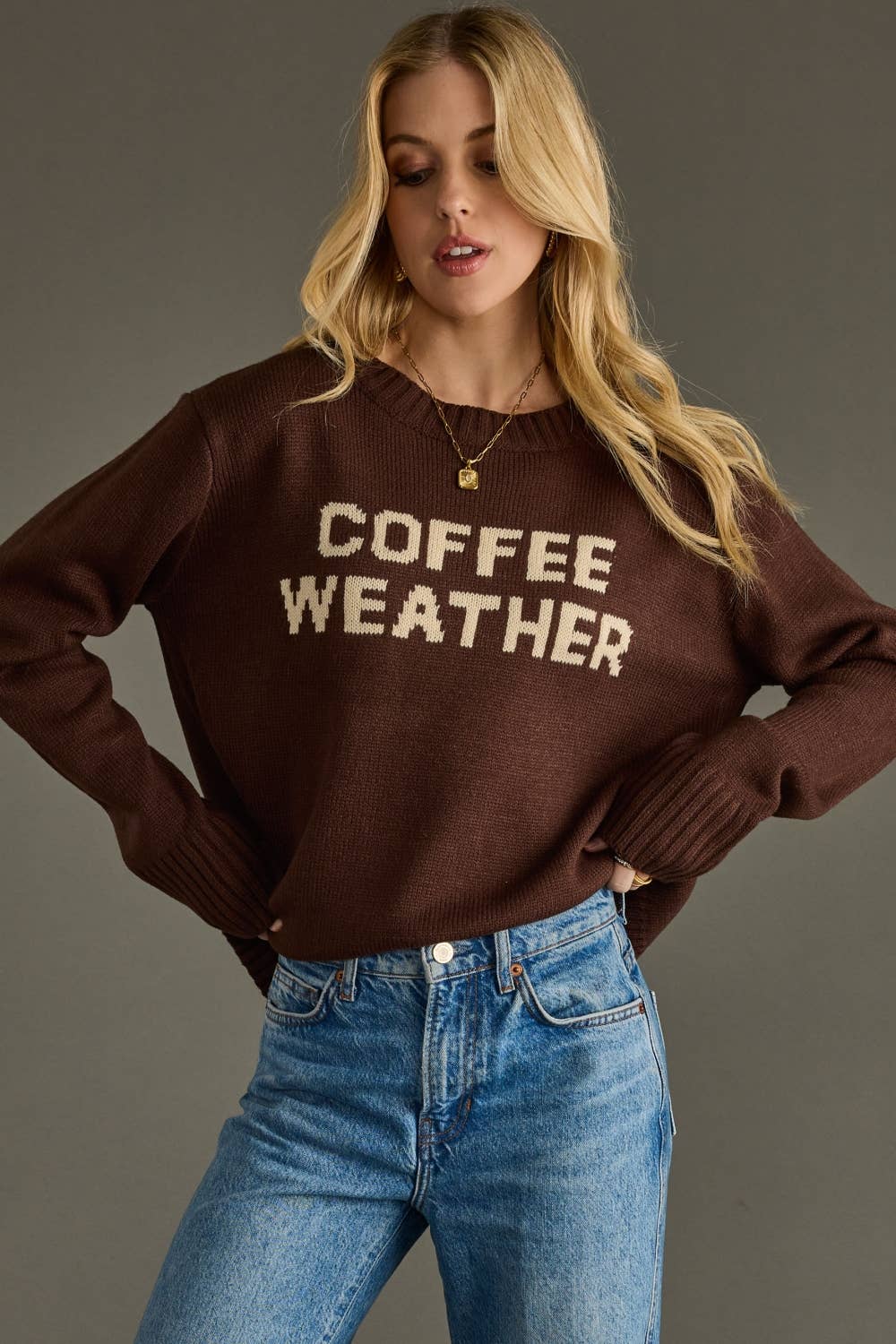 Panache Apparel Co. – wholesale Knitted jumper – Women′s – Dk. Brown Coffee Weather Sweater1