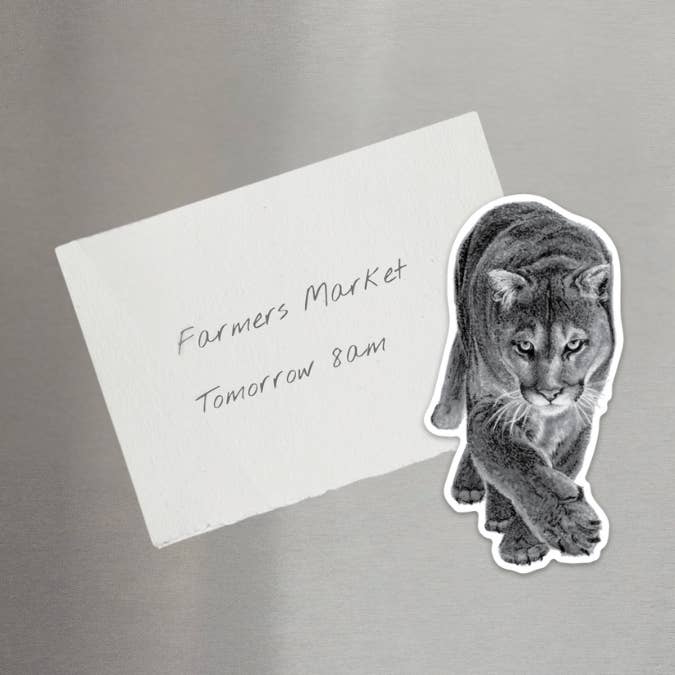 Cougar Magnet and other Purchase Wholesale flatade korgar. Free Returns & Net 60 Terms on Faire trending on Faire.