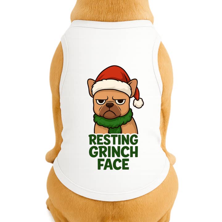 Faccia da Ginch a Riposo per la vendita all'ingrosso da parte di Diva Dog Clothing