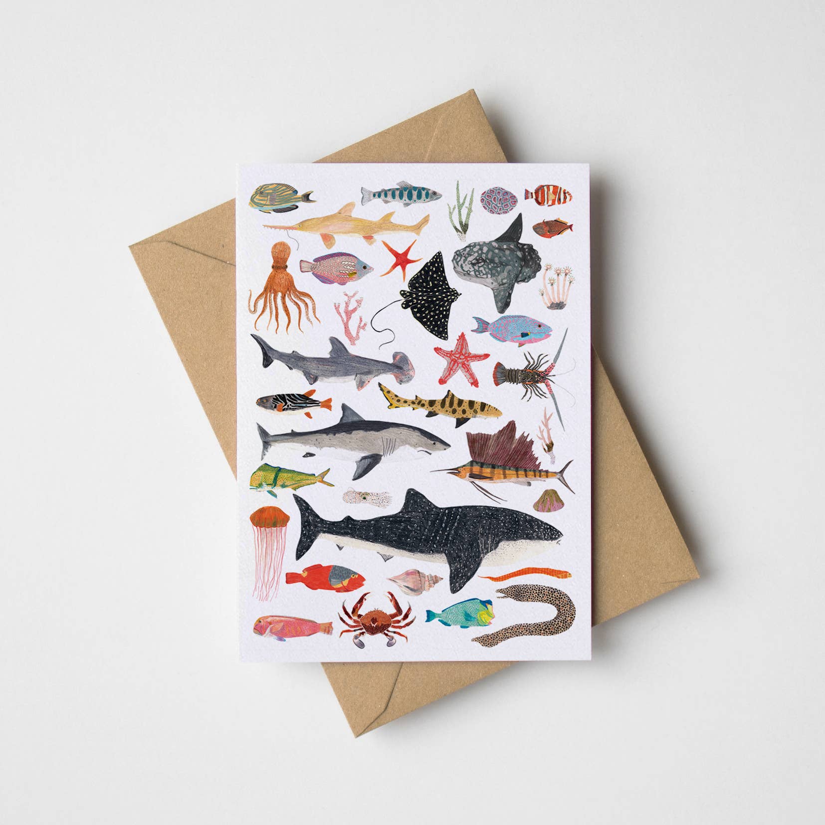 James Barker - Wholesale Everyday Greeting Card - Sea Life Greeting Card