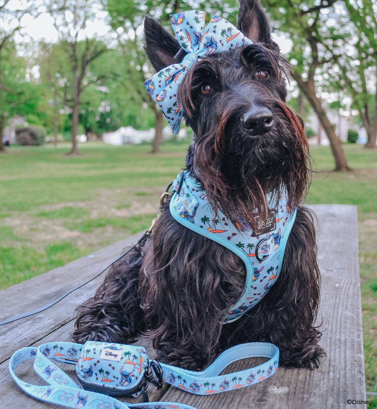 SASSY WOOF - Wholesale Pet Harness - Dog - Dog Adjustable Harness - Disney's Stitch9