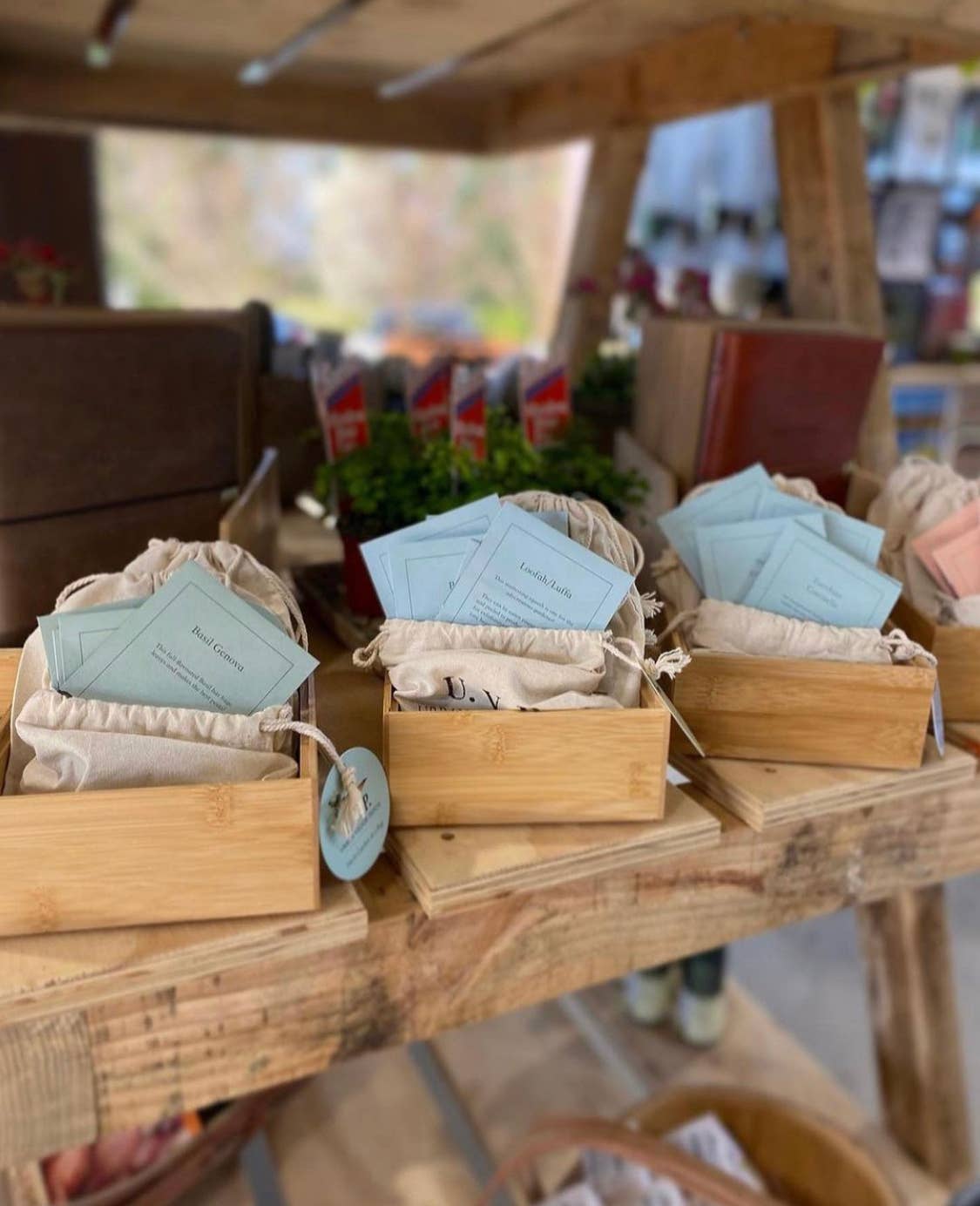 Urban Veggie Patch - Wholesale Plant seeds - Winter Garden in a Bag2