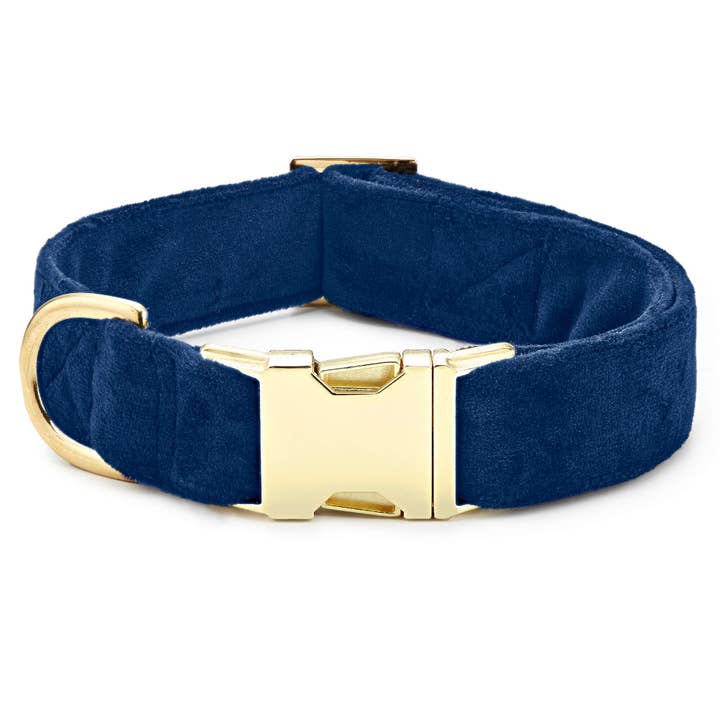 Navy Velvet Dog Collar for wholesale by The Foggy Dog