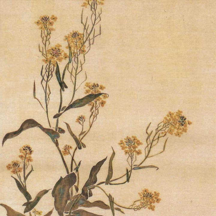 ATRAPAR CARTAS DOBLES 10.5X21 NC4883 para venta al por mayor de Phenicia