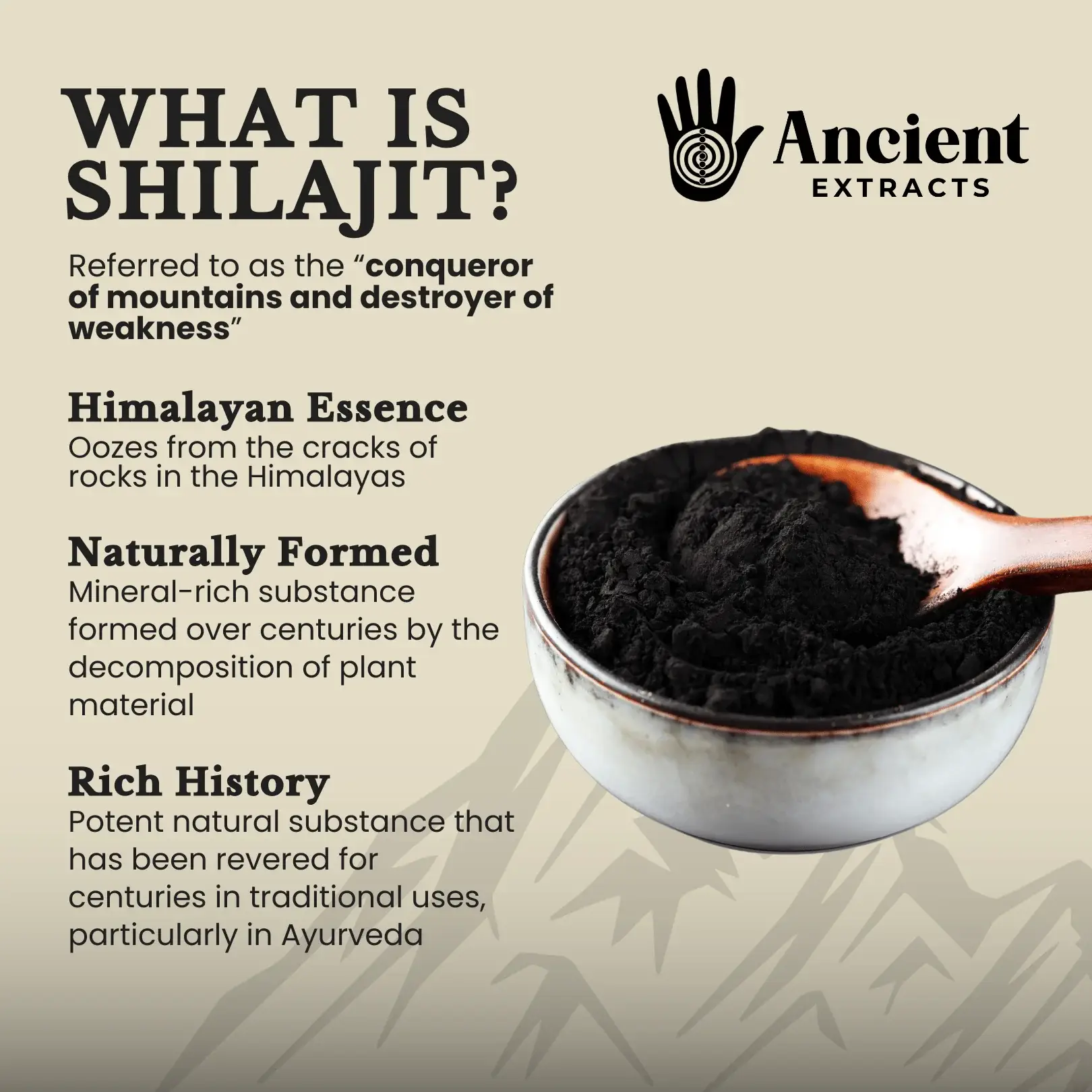 Ancient Extracts Ltd – wholesale Protein/superfood powder – Shilajit Pair - Organic Resin and Powder - 80% Fulvic Acid1