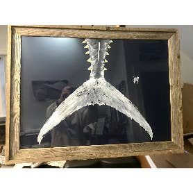 Tuna Tail – Gyotaku Bluefin Tuna Print for wholesale by Fish Aye Trading