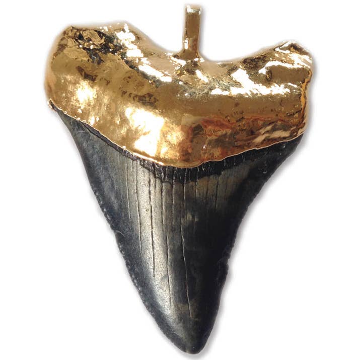 Grande FIN Gold 550 por atacado de Fin montauk