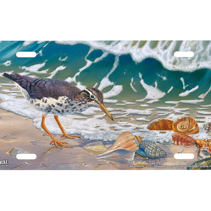 "Beach Bums" - Decorative License Plate for wholesale by Airstrike