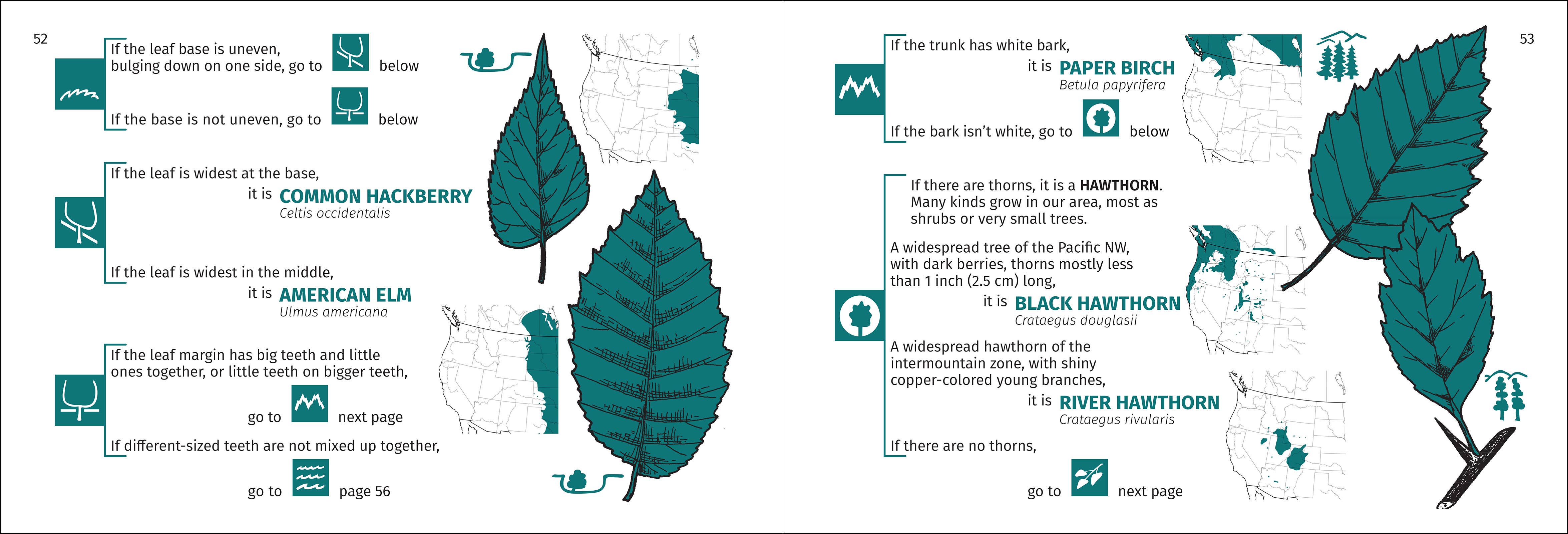 AdventureKEEN - Wholesale Nature & Outdoors - Rocky Mountain Tree Finder 3rd Edition8