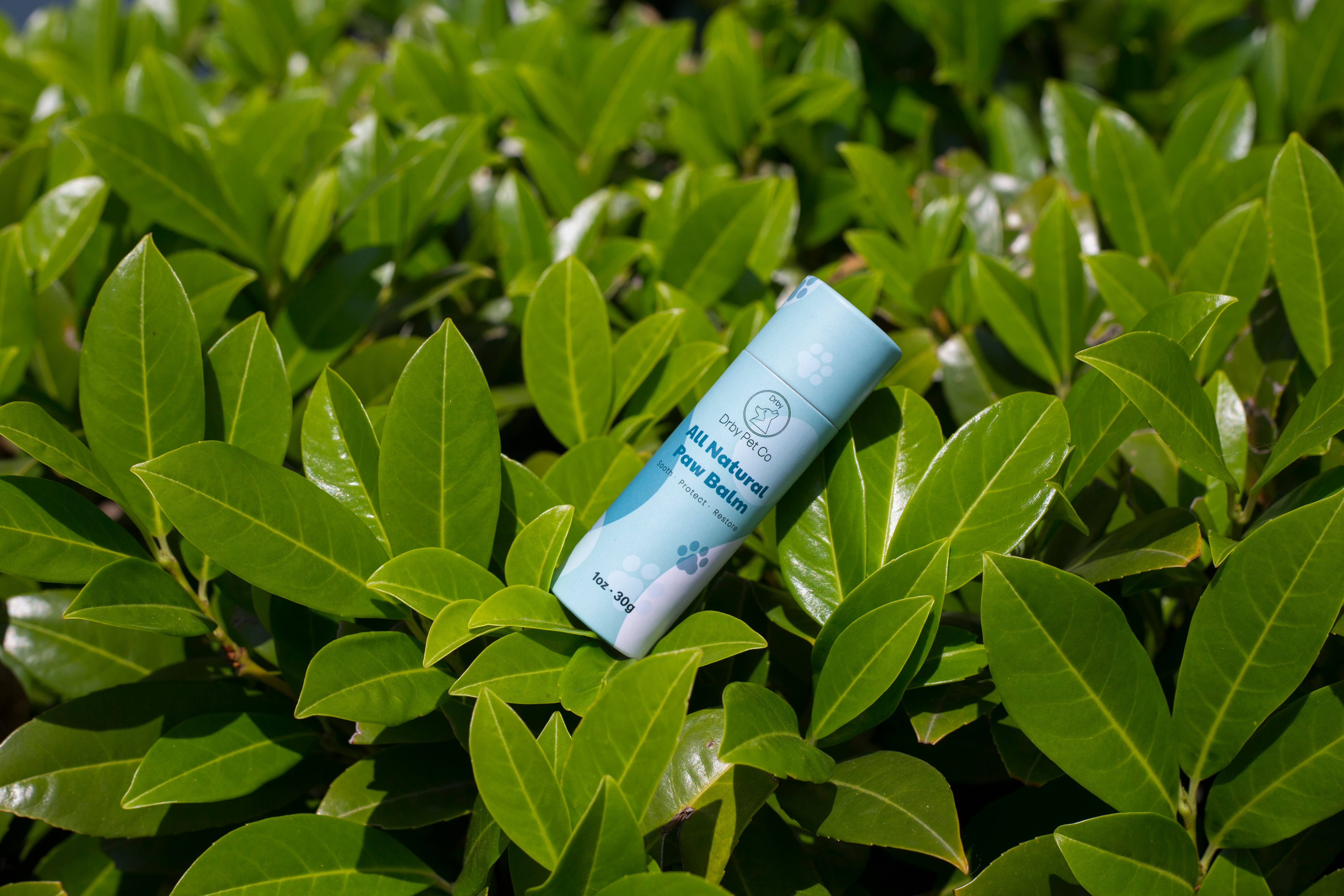 Drby Pet Co - Wholesale Pet Paw Protection - Drby Paw Plus +5