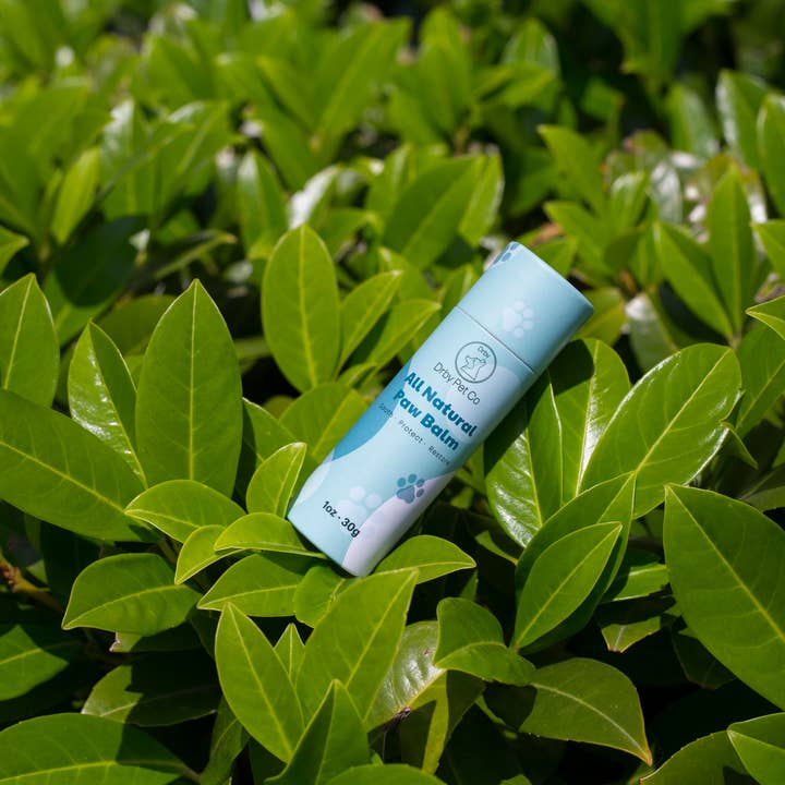 Drby Pet Co - Wholesale Pet Paw Protection - Drby Paw Plus +5