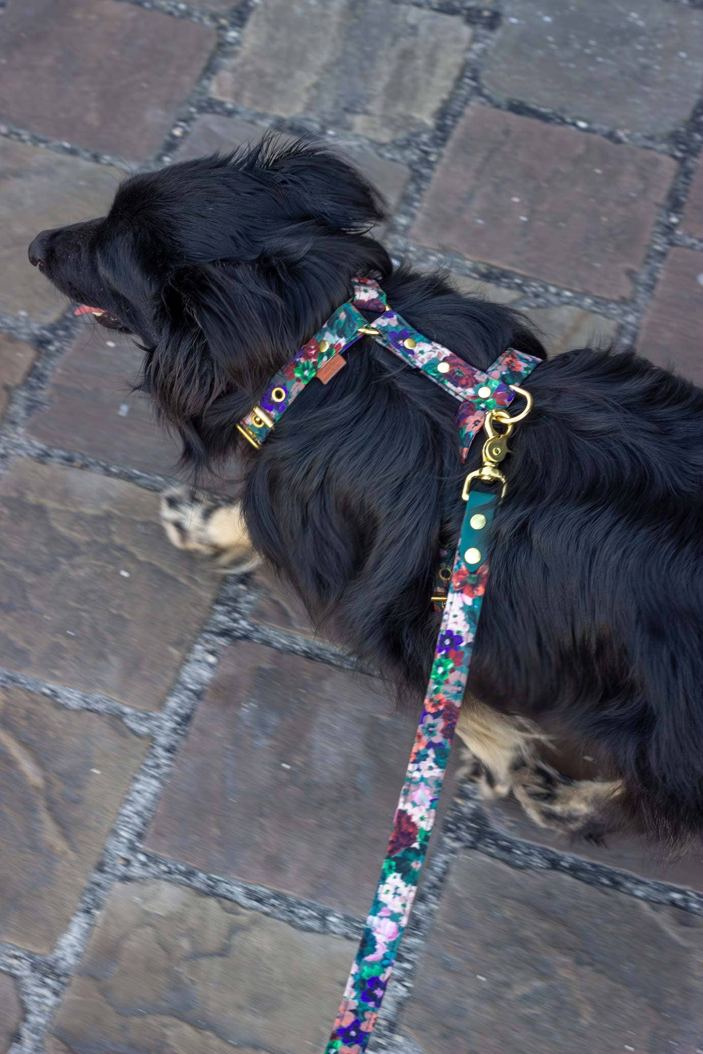 Atelier Markiz - Wholesale Pet Harness - Dog - Scarlett Harness4