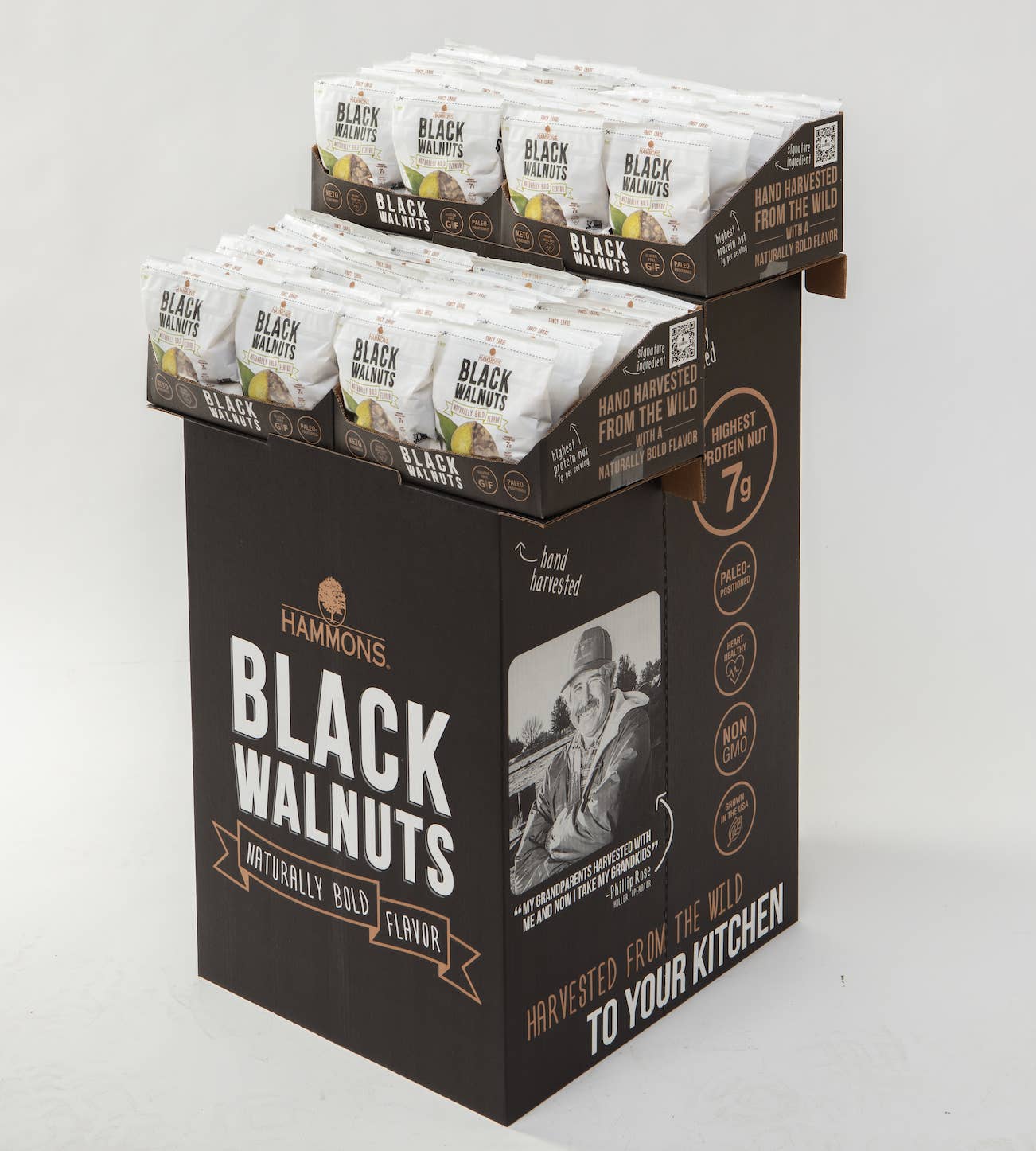 Hammons Wild Black Walnuts - Wholesale Nuts - Fancy Large Black Walnuts (8oz) (48 Count)