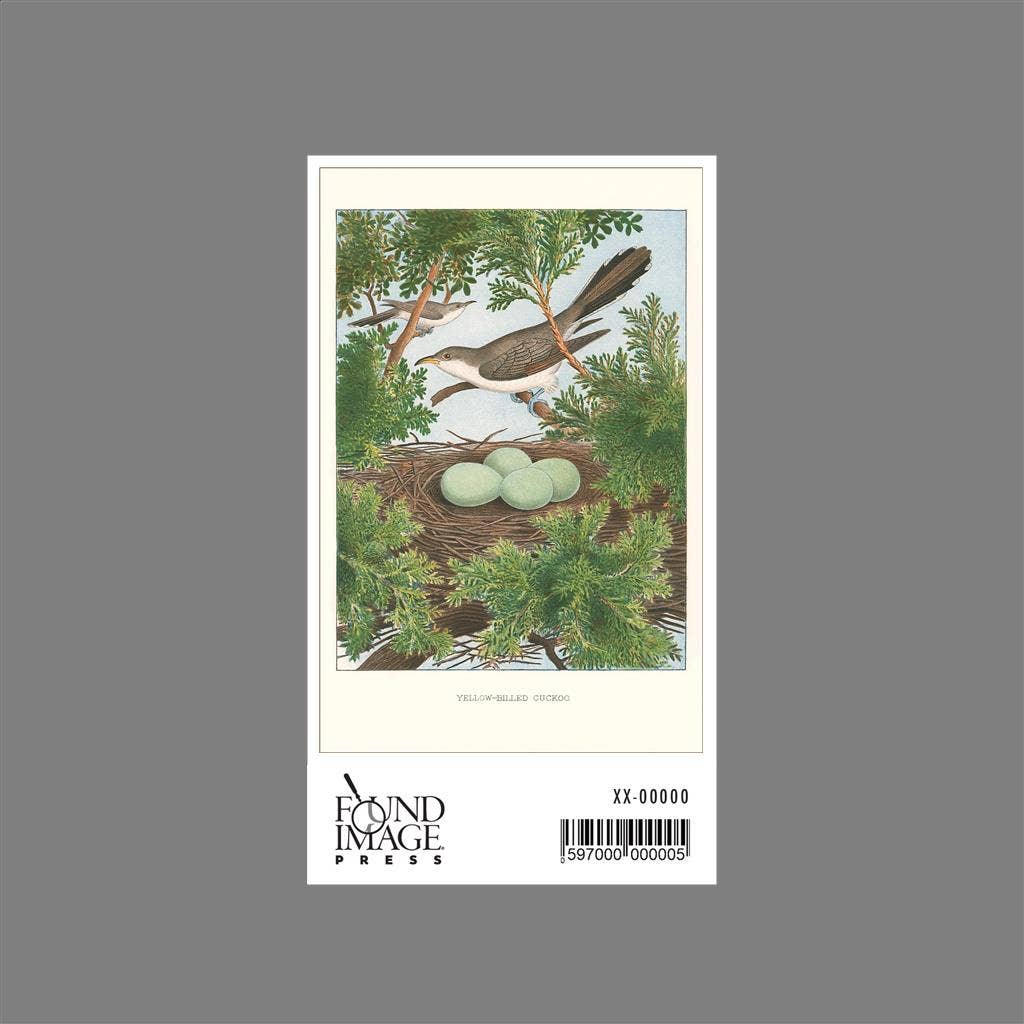 Found Image Press - Wholesale Sticker - Sticker BD-232 Yellow-Billed Cuckoo1