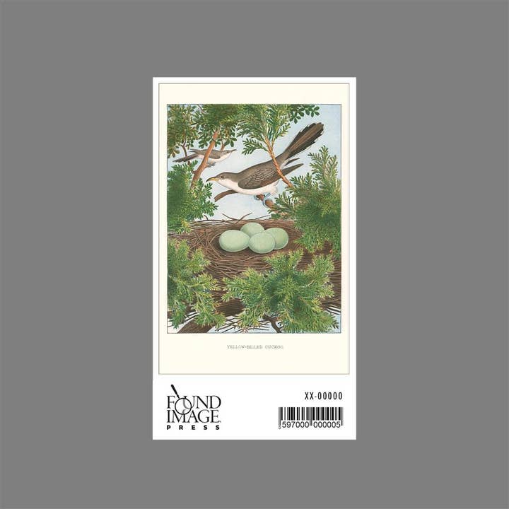 Found Image Press - Wholesale Sticker - Sticker BD-232 Yellow-Billed Cuckoo1
