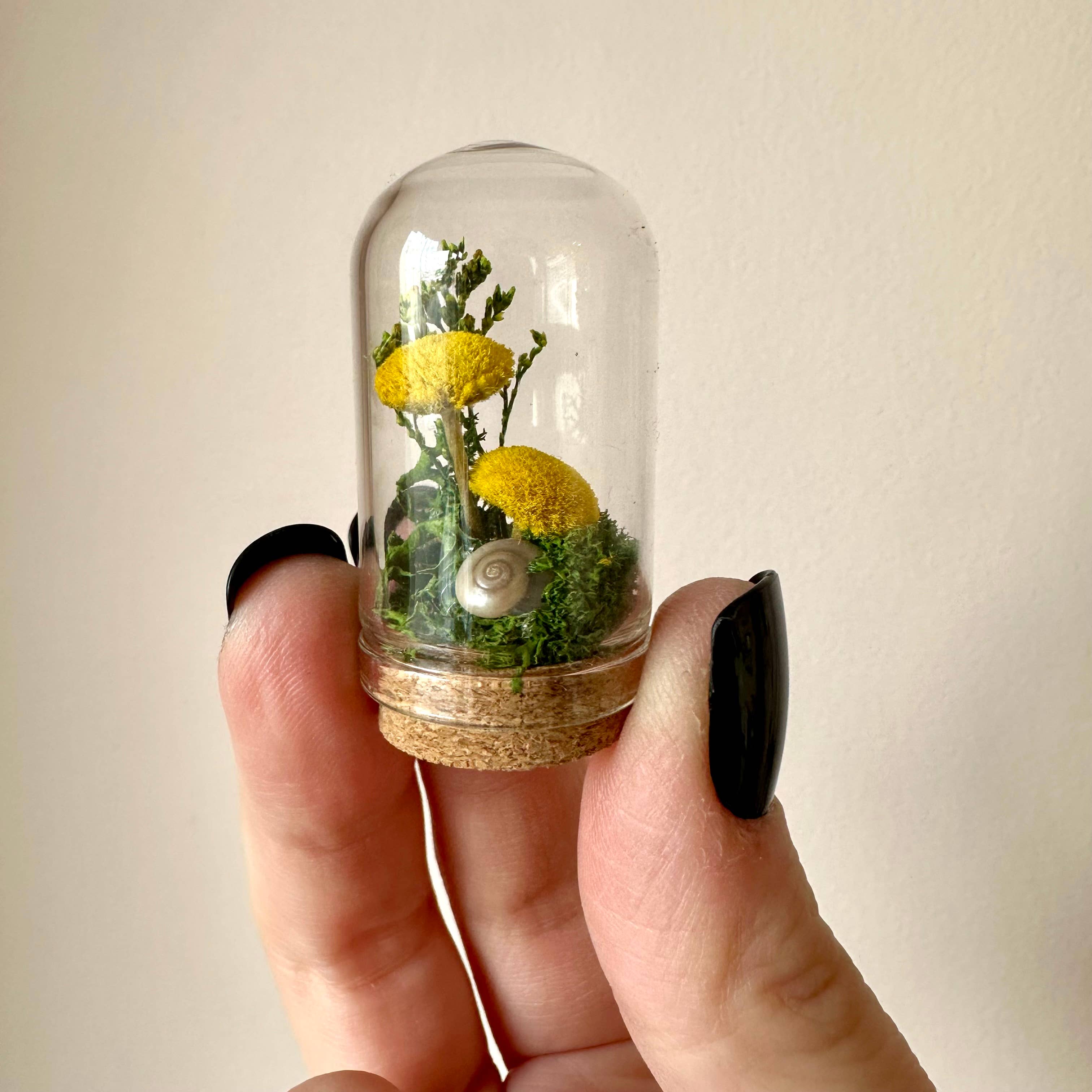 CA Studios - Wholesale Terrarium - Meadow Mix Mini Glass Cloche Terrarium w. Dried Florals0