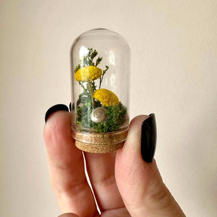 CA Studios - Wholesale Terrarium - Meadow Mix Mini Glass Cloche Terrarium w. Dried Florals