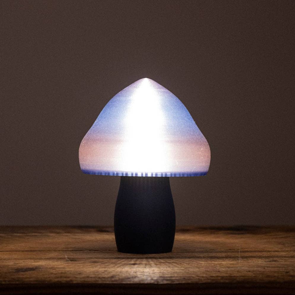 Lucine & Bastien - Wholesale Accent/Desk Lamp - FROSTED VOLVAIRE - The charm of a lamp inspired by the wonders of nature4