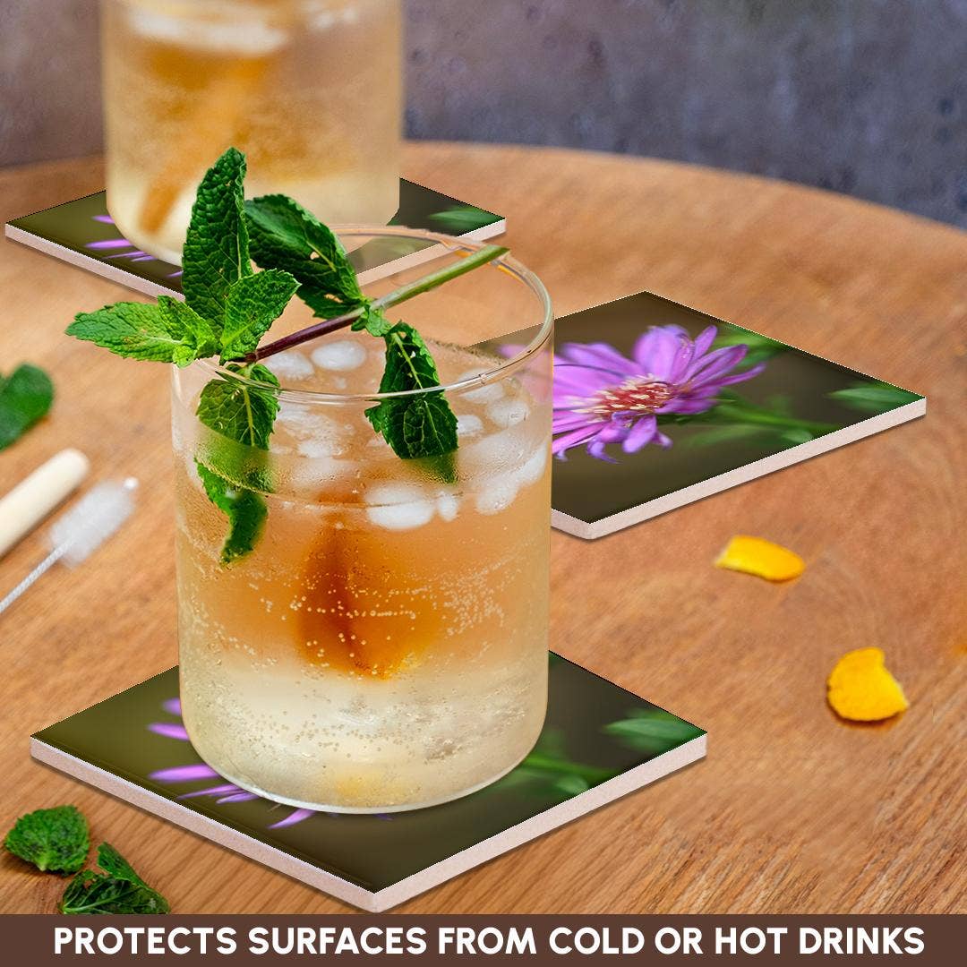 3dRose - Wholesale Coasters - 3dRose, A macro photograph of a single purple aster flower., Coaster2