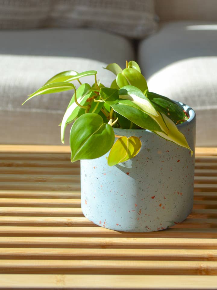 Zero Waste Terrazzo Planter ( Multiple Colors ) for wholesale by LindaMakess