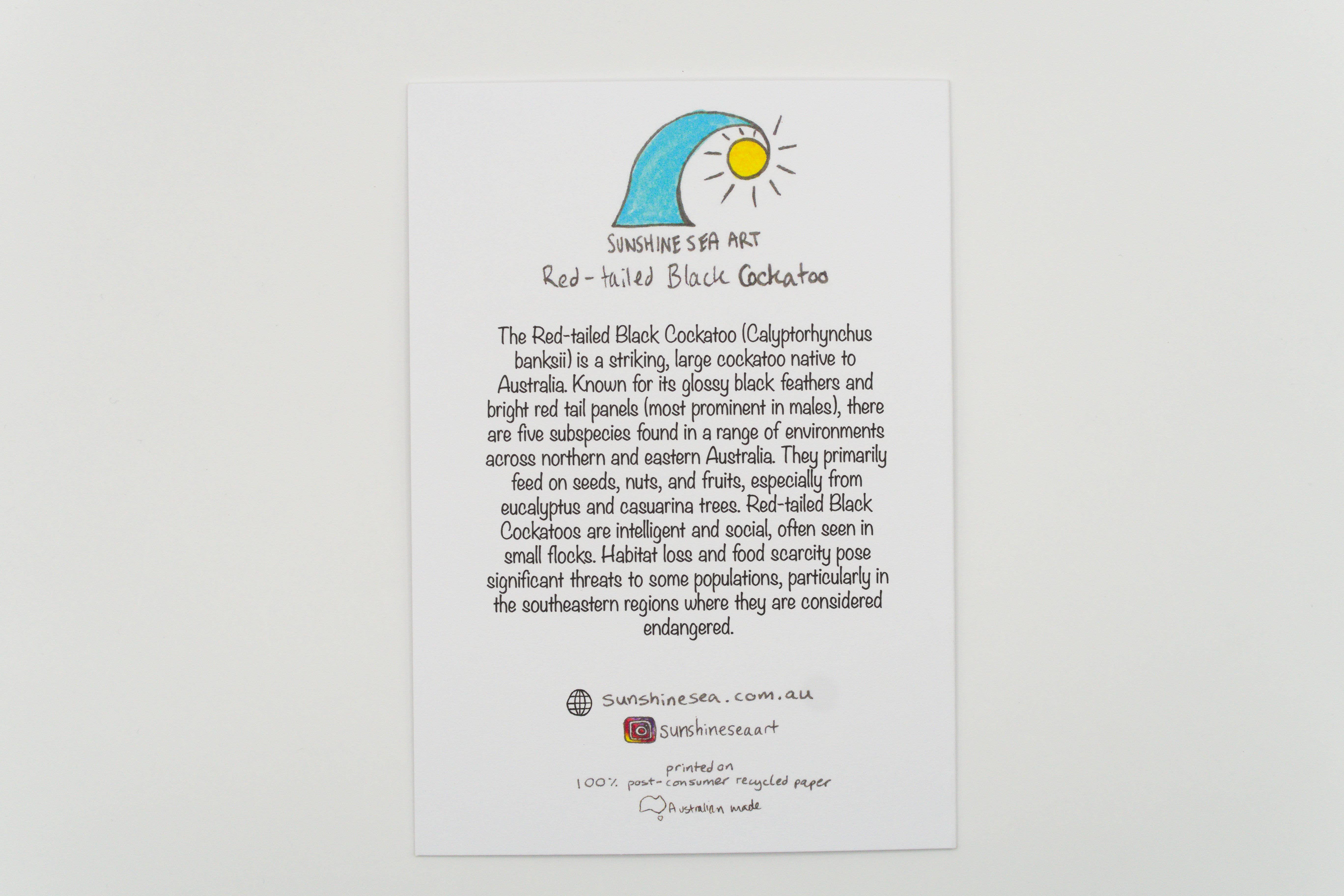 Sunshine Sea Art - Wholesale Birthday Card - Red-Tailed Black Cockatoo Greeting Card Australian Bird Card1