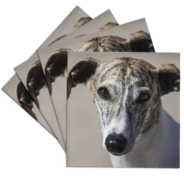 3dRose - Wholesale Coasters - 3dRose, Portrait of a Whippet, Coaster