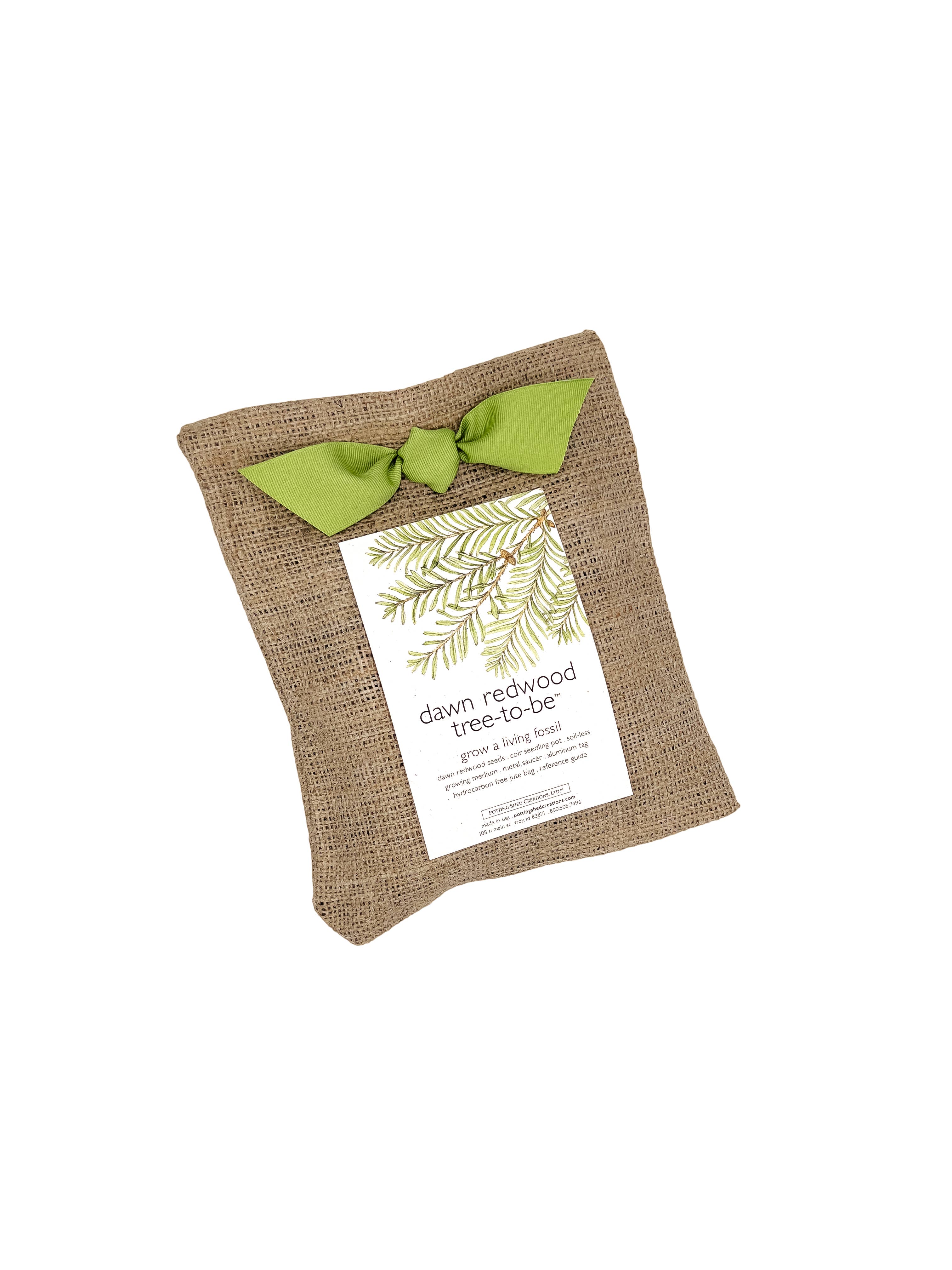 Potting Shed Creations, Ltd. - Wholesale Plant Seeds - Tree to Be | Dawn Redwood | Fall & Corporate Gift idea