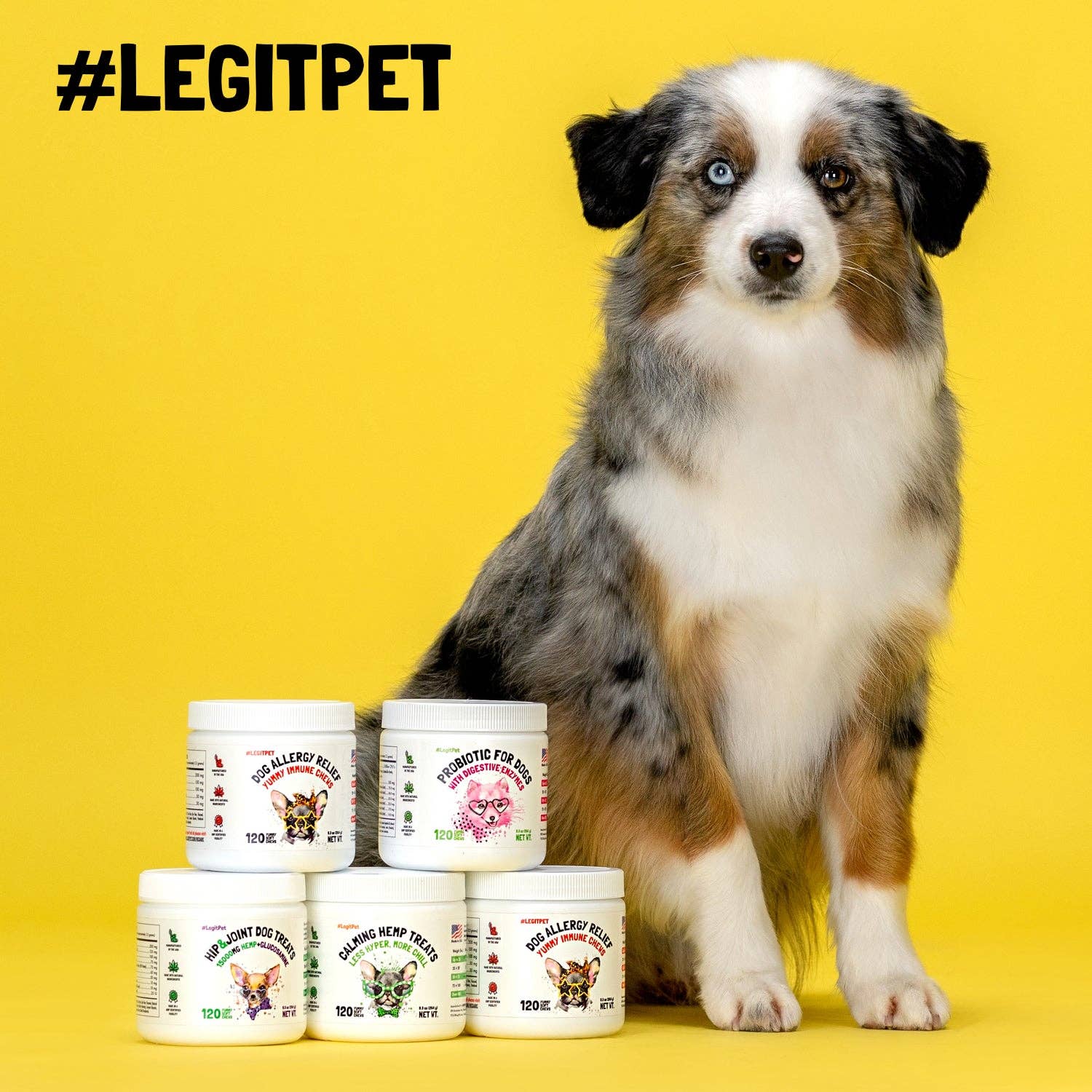 LEGITPET - Wholesale Pet Supplement - Dog - Omega 3 Alaskan Salmon Oil Treats for Dogs Fish Oil Chew Supplement Skin and Coat Allergy and Itch Relief Hip & Joint Health Brain9