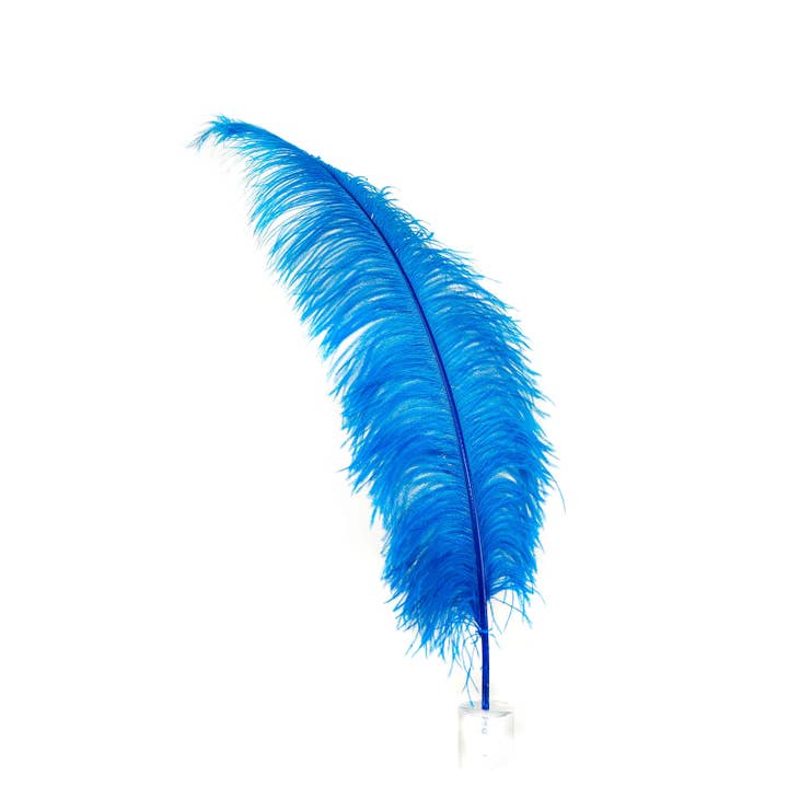 Large Ostrich Feathers - 18-24" Spads - Dark Turquoise for wholesale by Zucker Feather Products