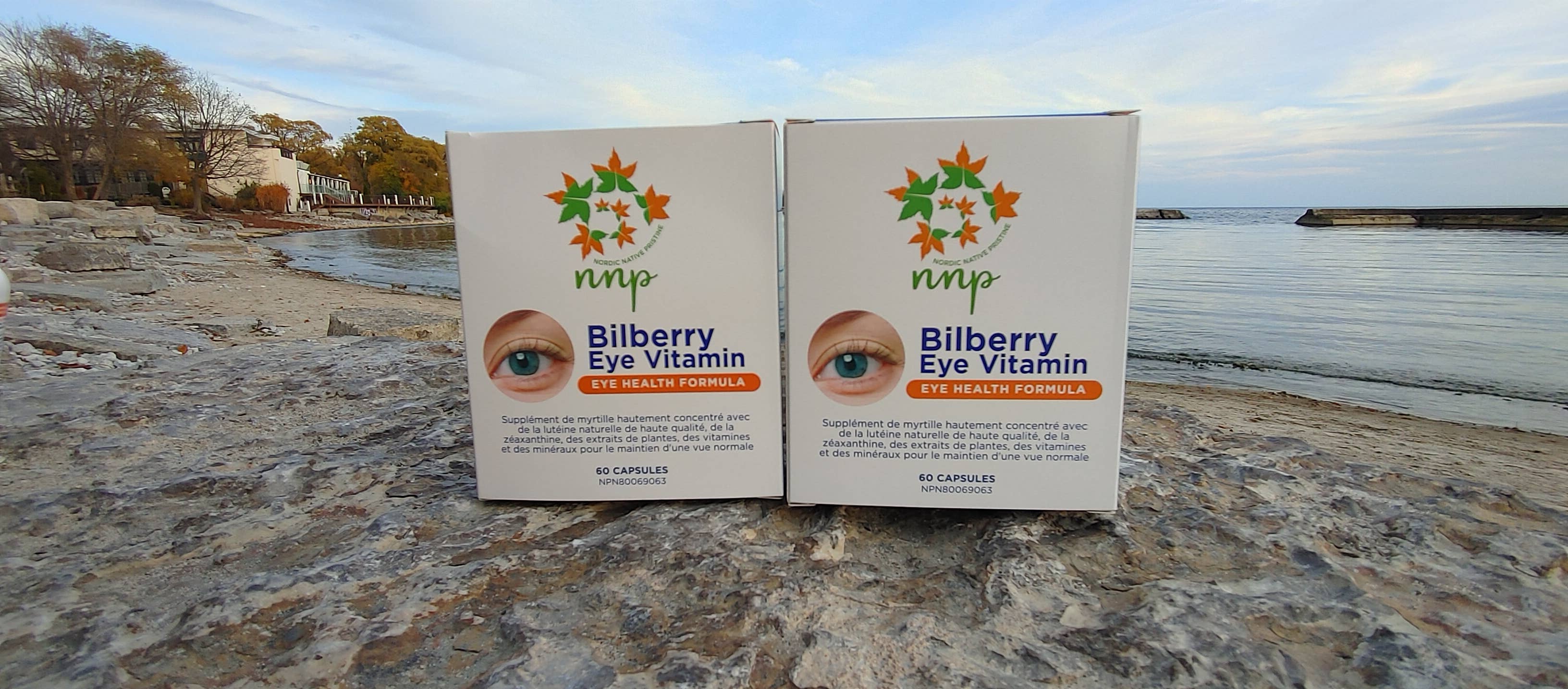 Nordic native pristine - Vente Supplément oral/vitamine - Méga vitamine pour les yeux à la myrtille2