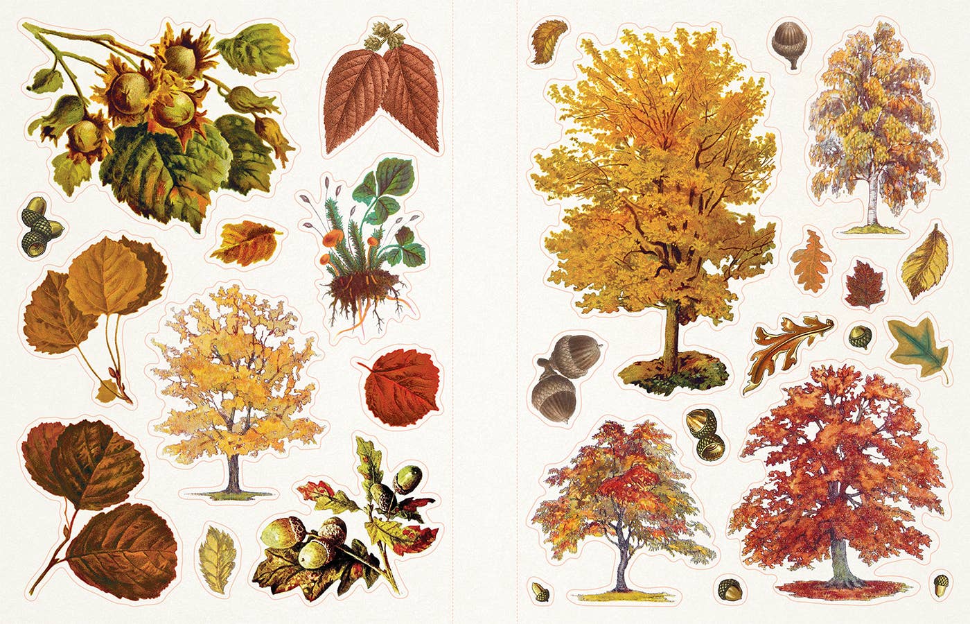 Cottage Door Press - Wholesale Sticker - Kids & Baby - Sticker Emporium Cauldron of Curiosities - 500+ stickers7