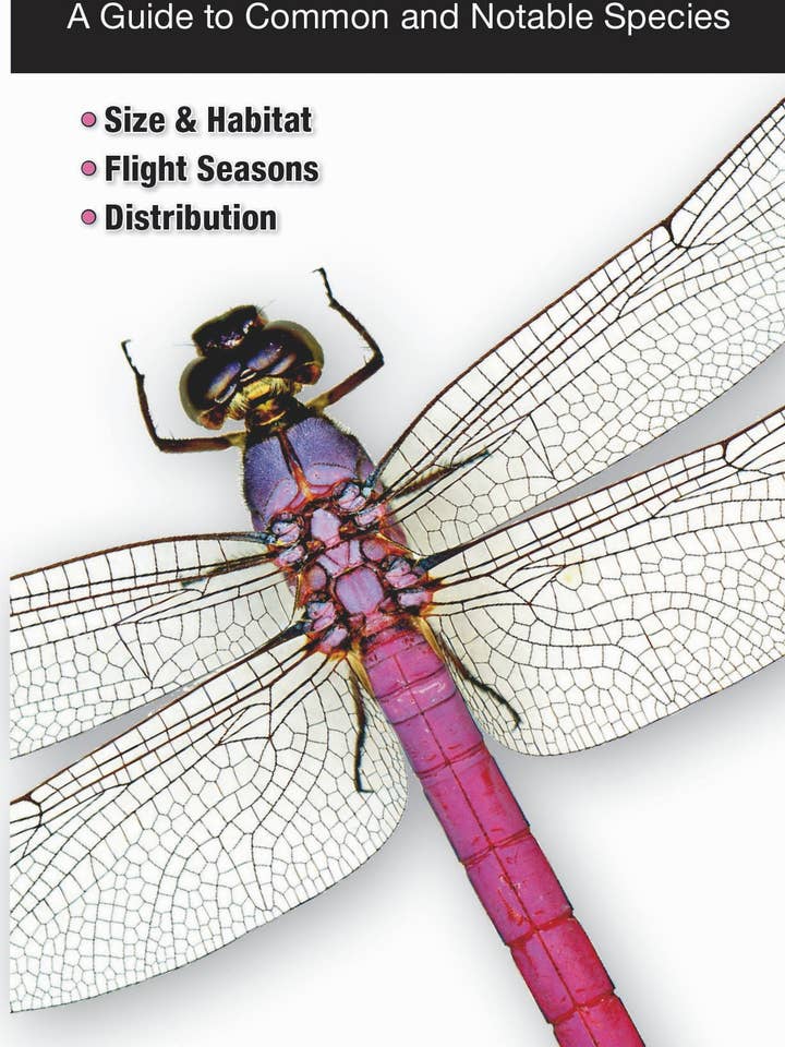 Dragonflies of Florida for wholesale by Quick Reference Publishing, Inc