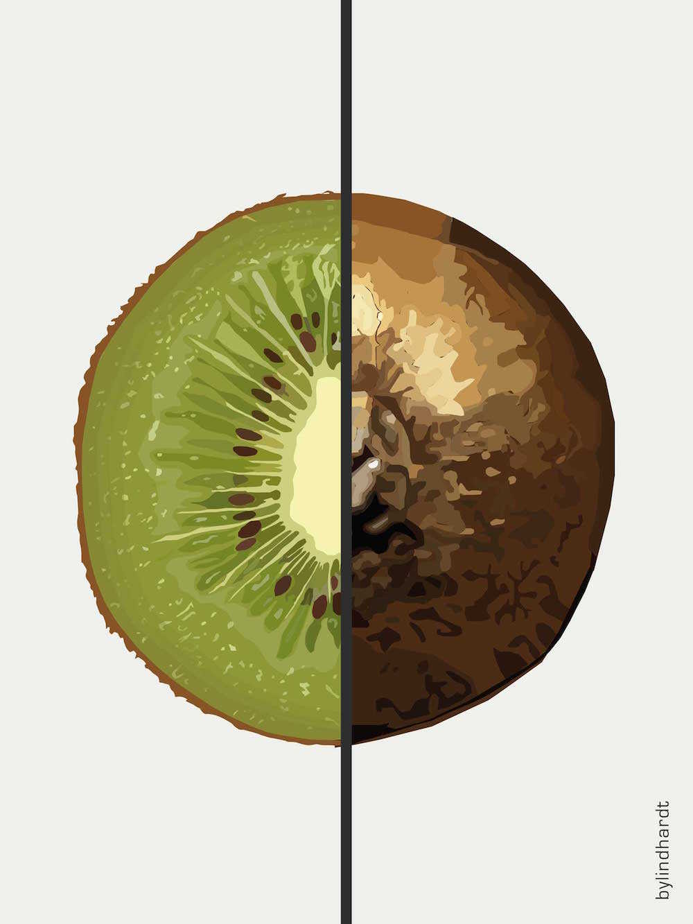 bylindhardt - Wholesale Poster - Kiwi poster1